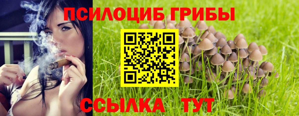 Галлюциногенные грибы ЛСД Гулькевичи