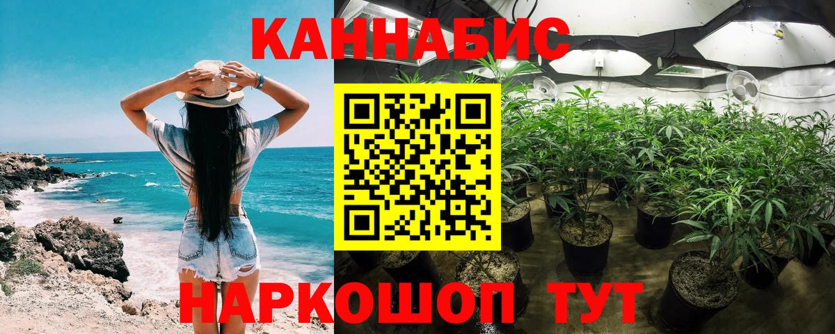 Бошки марихуана индика Гулькевичи